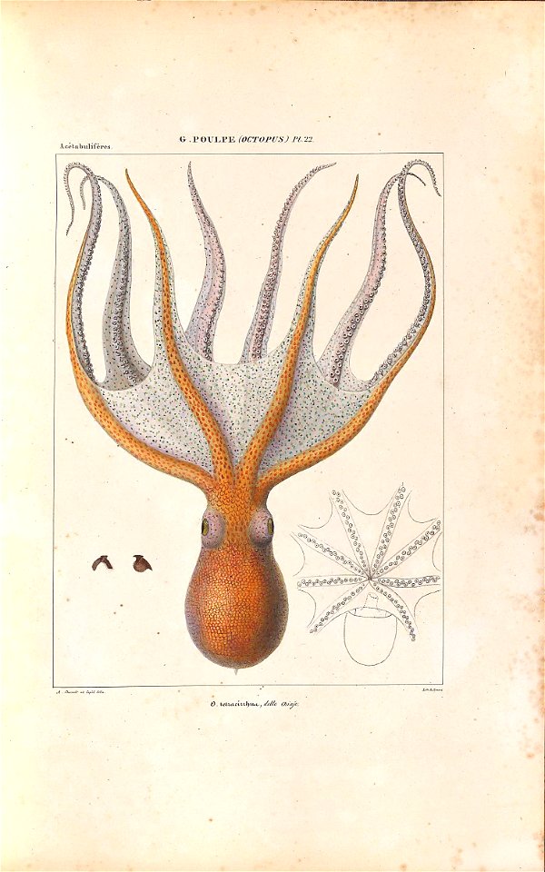 n58_w1150
