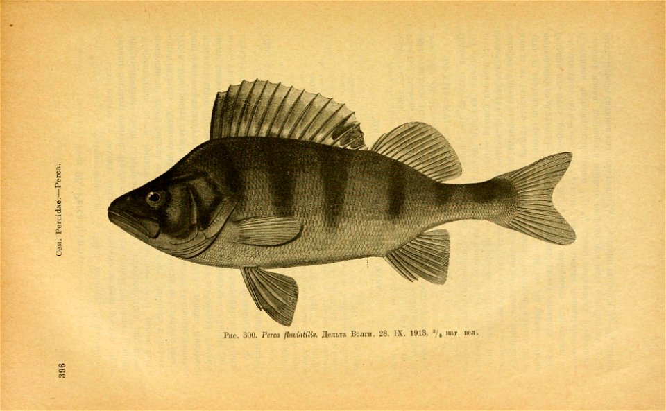 n431_w1150