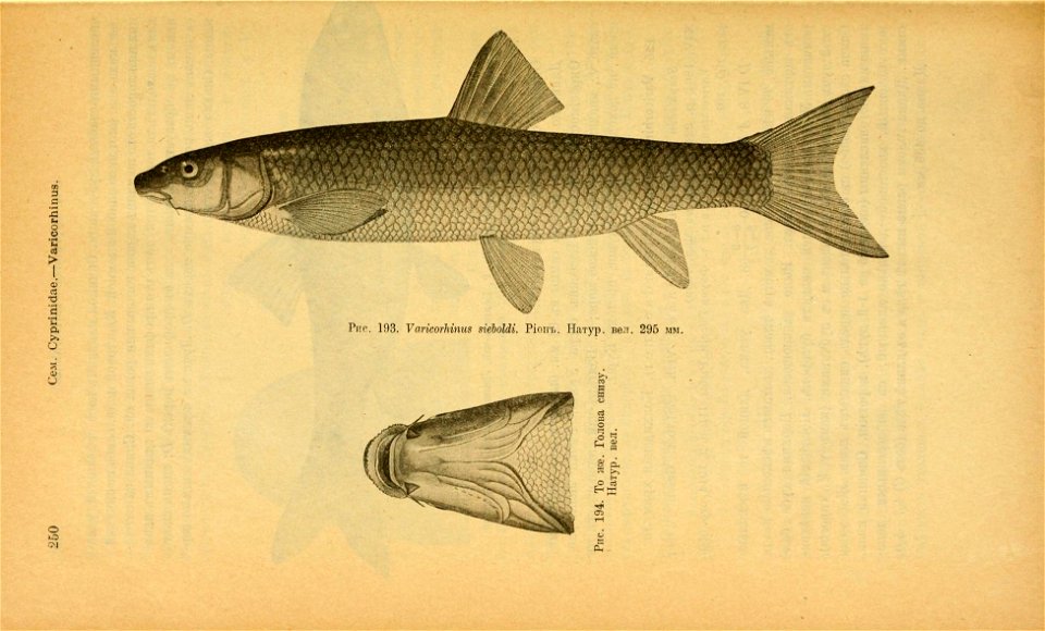 n285_w1150