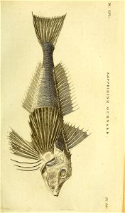 n406_w1150