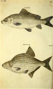 n507_w1150