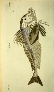 n403_w1150