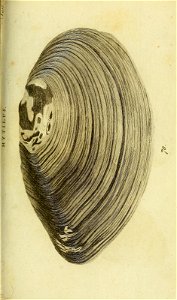 n316_w1150