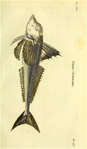 n398_w1150