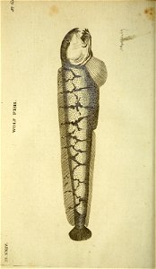 n213_w1150