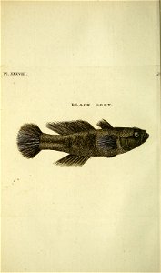 n303_w1150