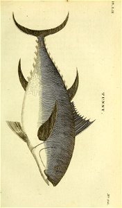 n384_w1150