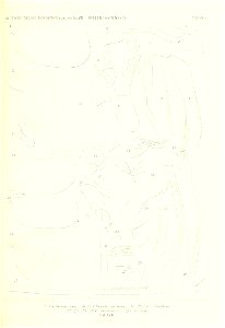 n208_w1150