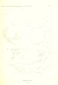n144_w1150
