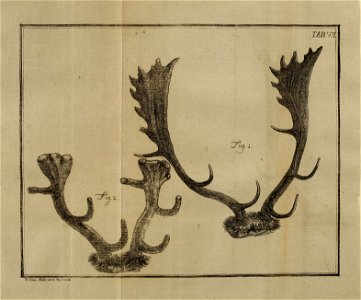 n462_w1150