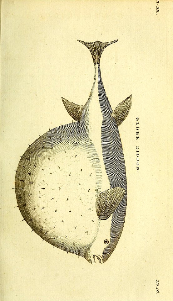n186_w1150