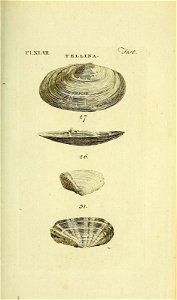 n276_w1150