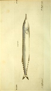 n467_w1150