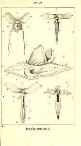 n392_w1150