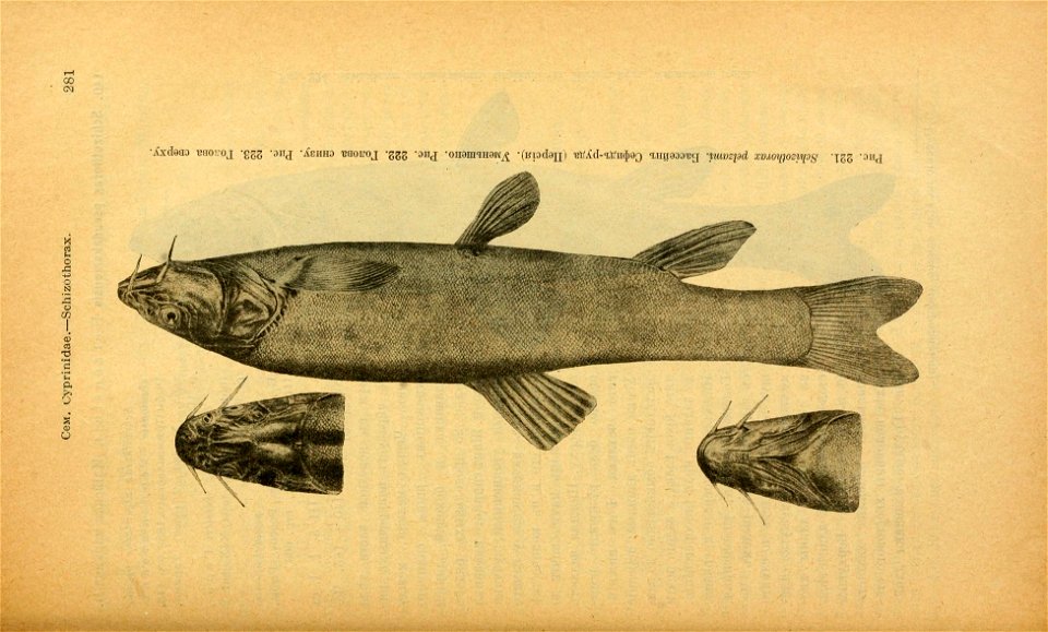 n316_w1150