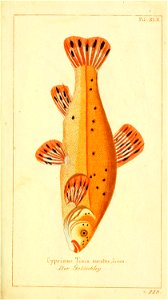 n102_w1150