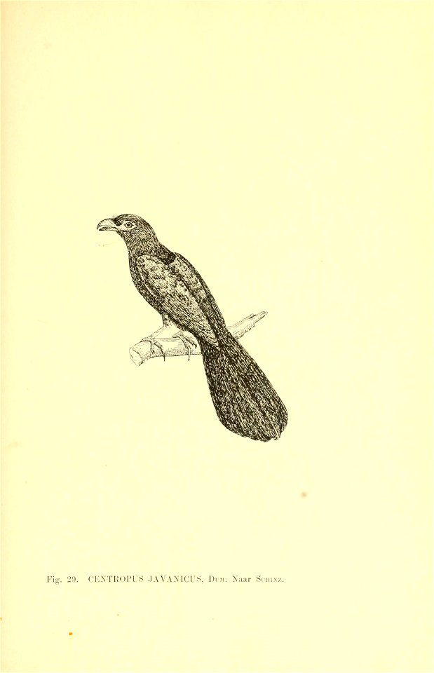 n178_w1150