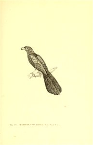 n178_w1150