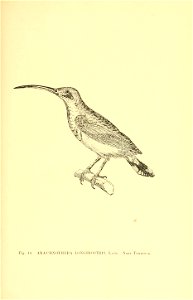 n148_w1150