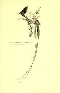 n206_w1150