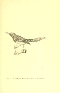 n146_w1150