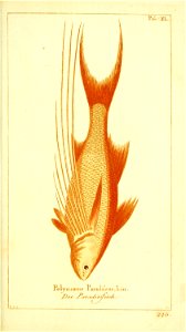 n98_w1150