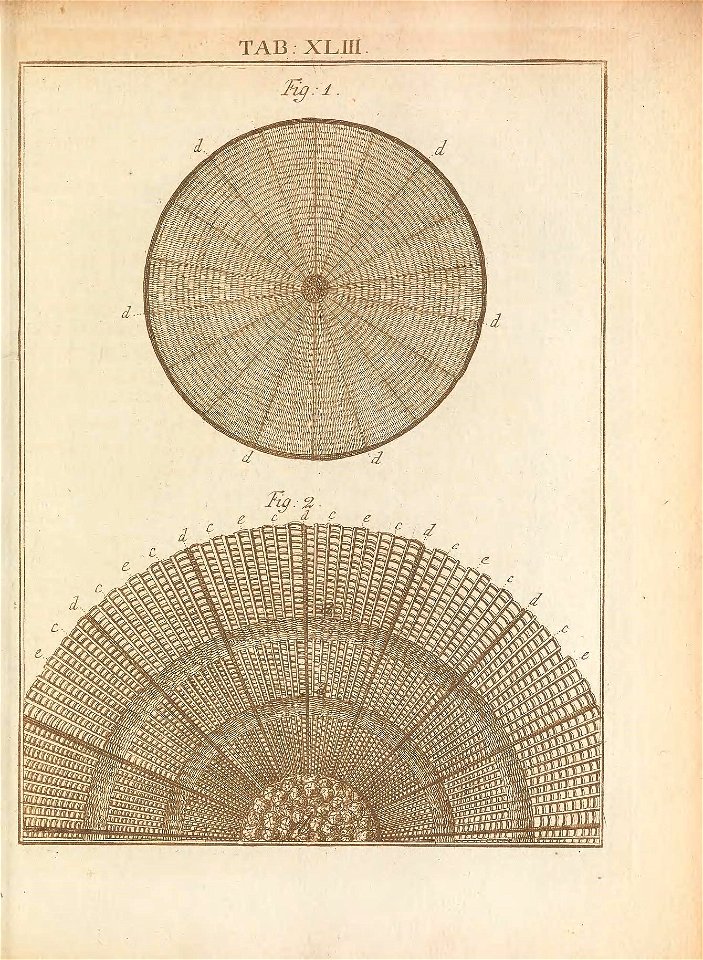 n204_w1150