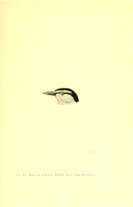 n204_w1150