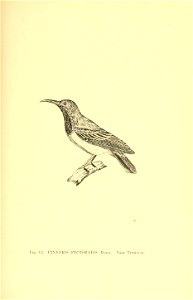n144_w1150