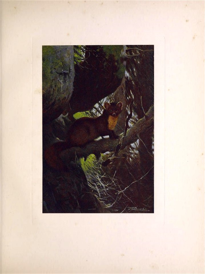 n122_w1150