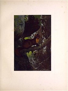 n122_w1150