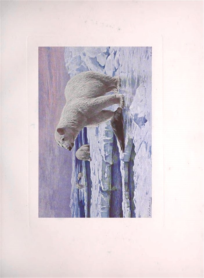 n58_w1150