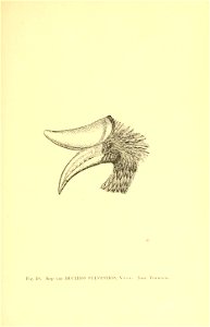n140_w1150