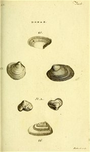 n292_w1150