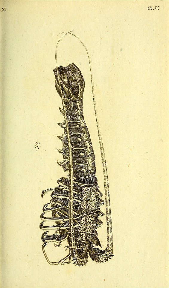 n202_w1150