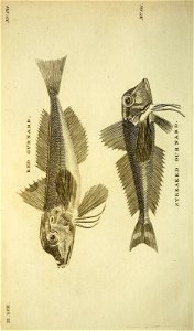 n409_w1150