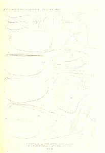 n164_w1150