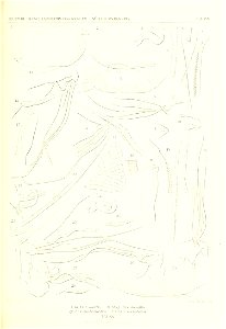 n216_w1150