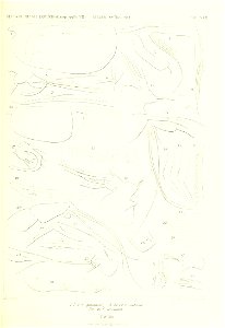 n212_w1150