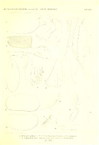 n260_w1150