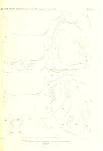 n200_w1150