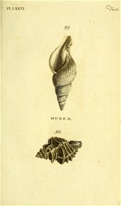 n334_w1150