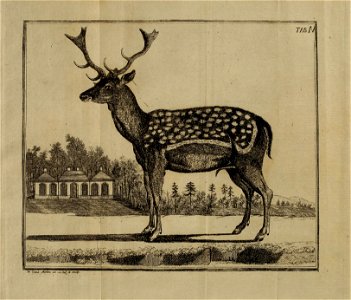 n454_w1150