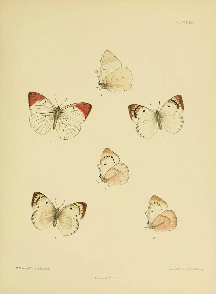 n196_w1150