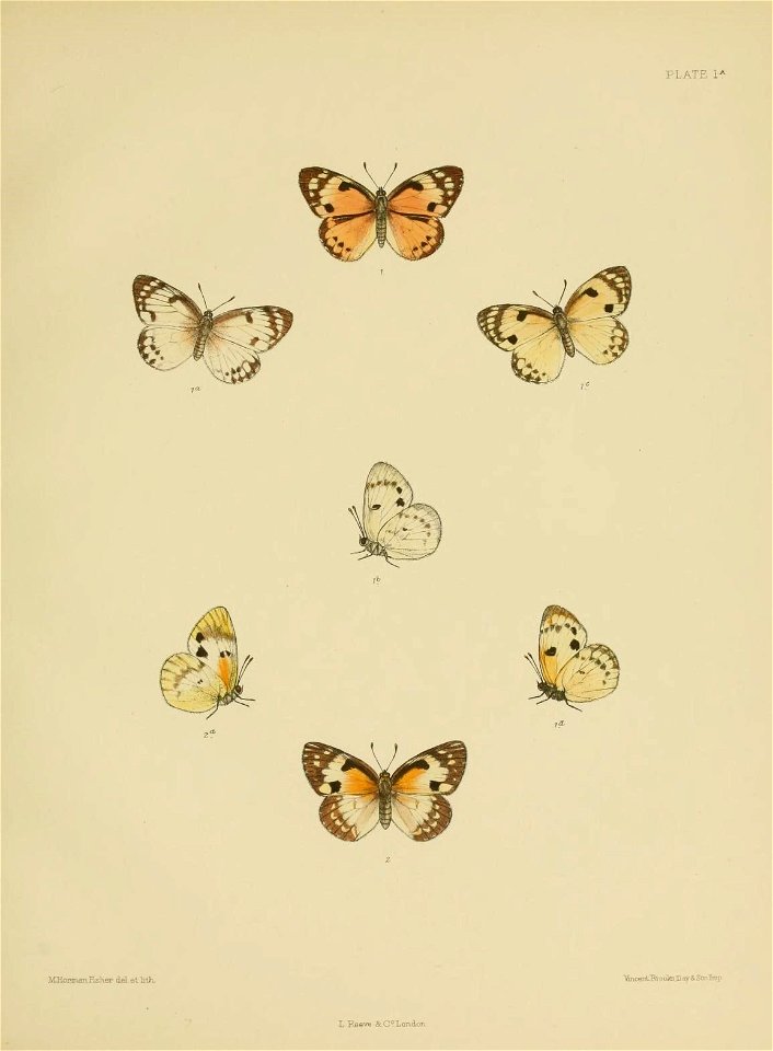 n166_w1150
