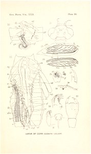 n96_w1150