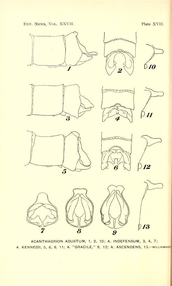 n393_w1150