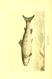 n353_w1150