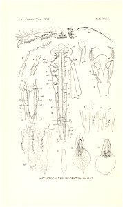 n551_w1150