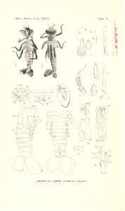 n79_w1150